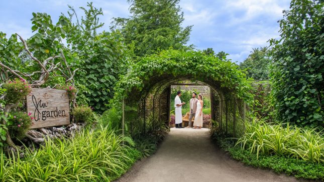 JW Garden Experience