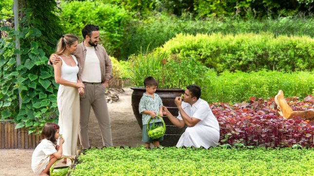 JW Garden Experience