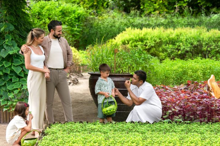 JW Garden Experience