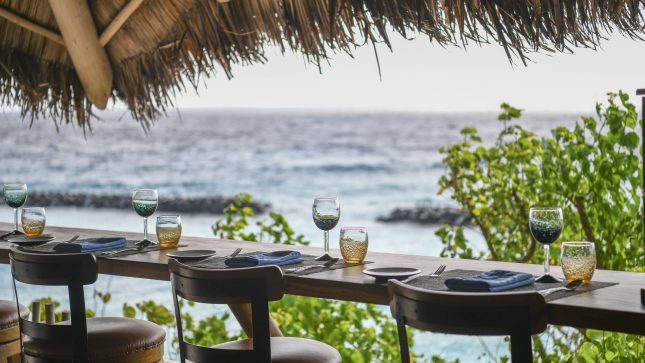 Kaashi - Treetop Dining Venue