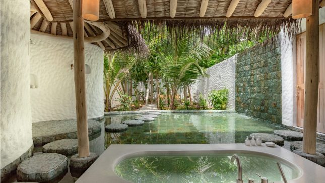 2 Bedroom Crusoe Residence with Pool