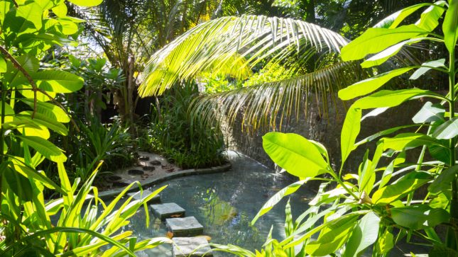 Soneva Fushi Suite with Pool