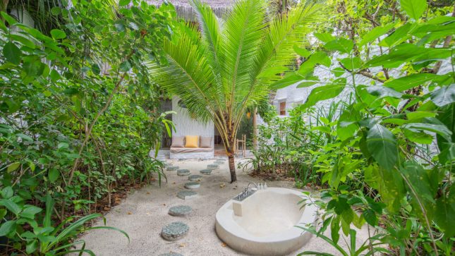 Crusoe Suite with Pool