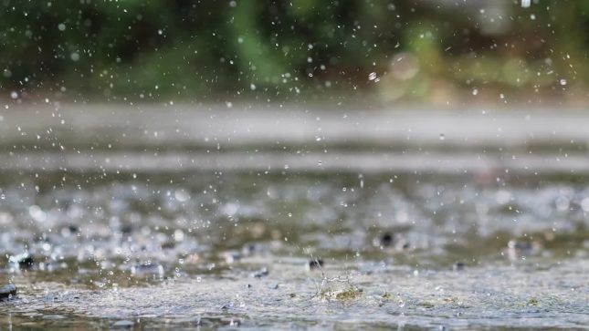 Rainy Day Activities