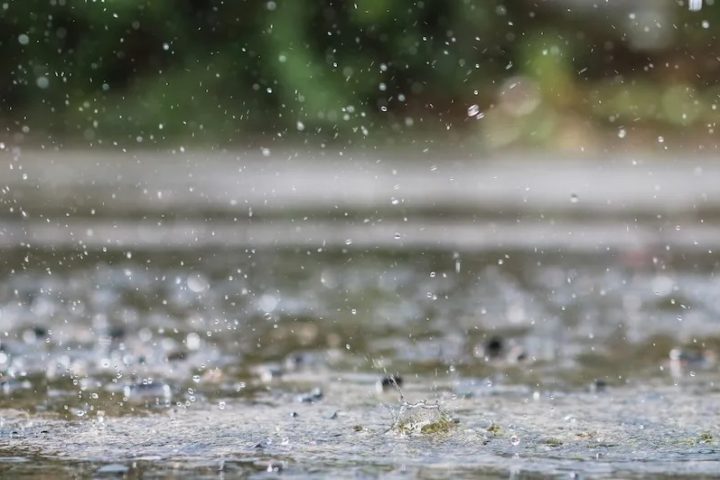 Rainy Day Activities