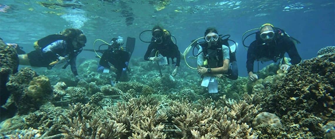 Hurawalhi Maldives Marine Biology Center
