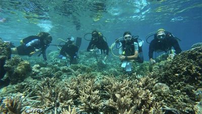 Hurawalhi Maldives Marine Biology Center