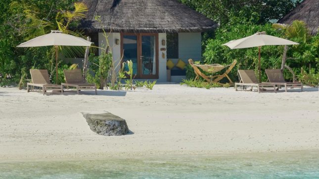 Drift Thelu Veliga Retreat - Beach Villa
