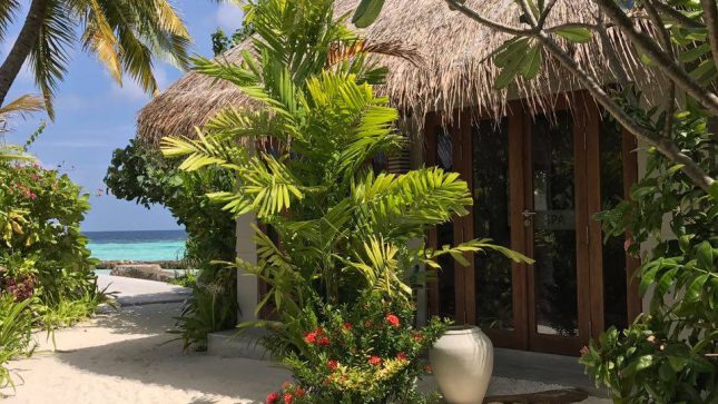 Drift Thelu Veliga Retreat - Beach Villa