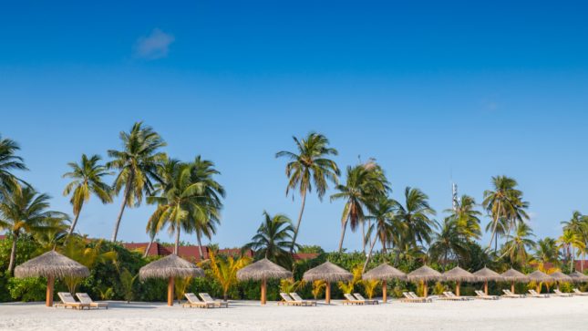 Dhigufaru Island Resort - Beach Villa