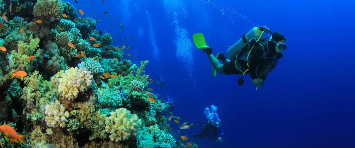 Diving Center