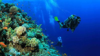 Diving Center