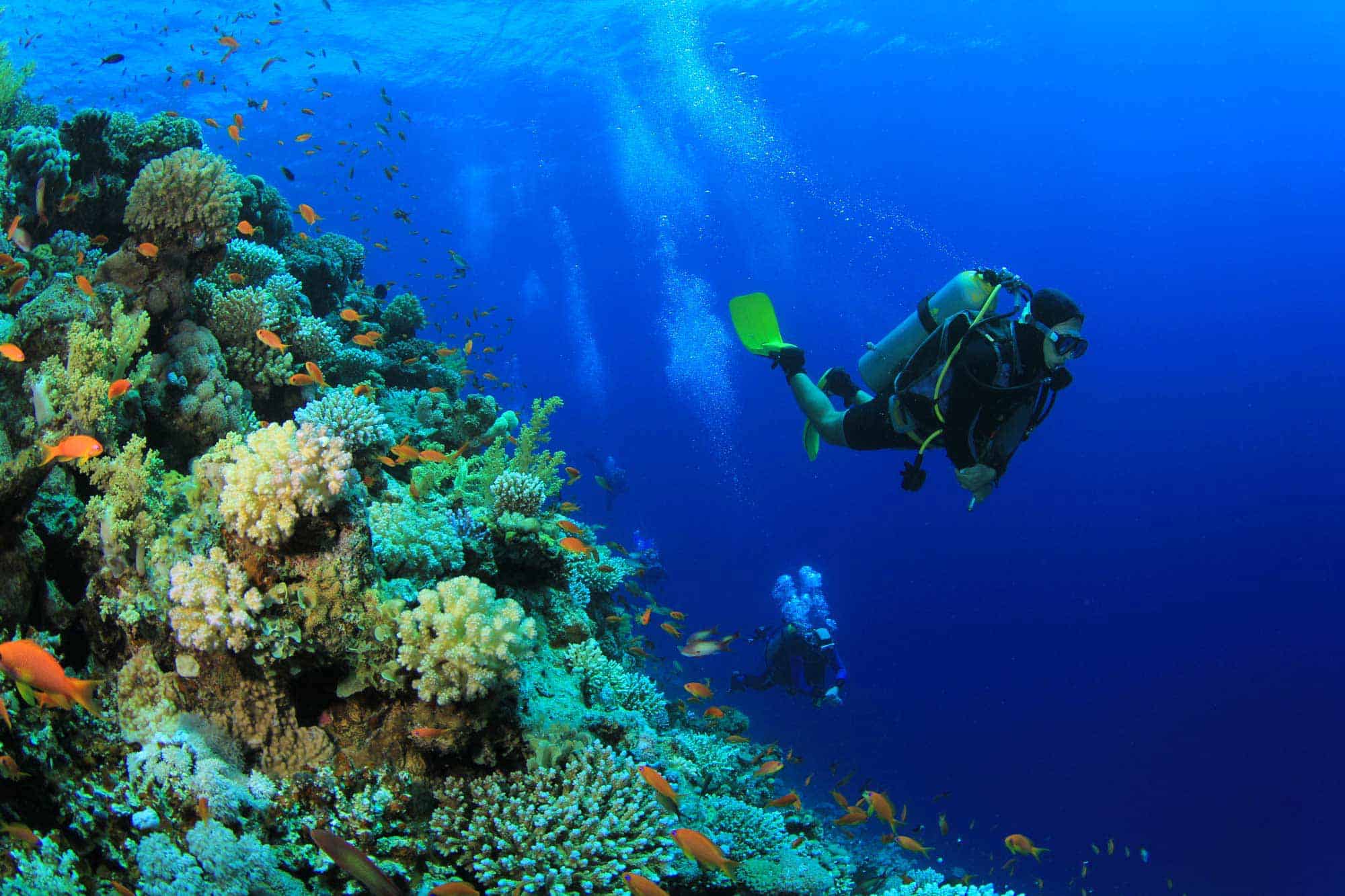 Diving Center