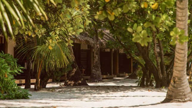 Nakai Alimatha Resort Beach Bungalow