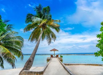 Ellaidhoo Maldives_Love's Deck