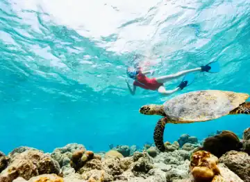 Gangehi Island Resort & Spa_Diving Center