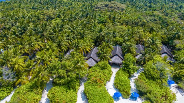 Dusit Thani Maldives - Beach Villas