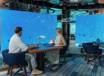 Sea
