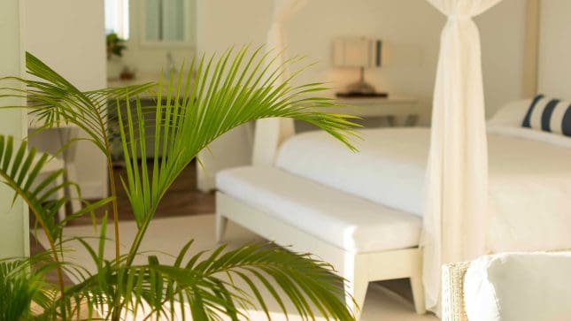 Two Bedroom Pool Water Villas
