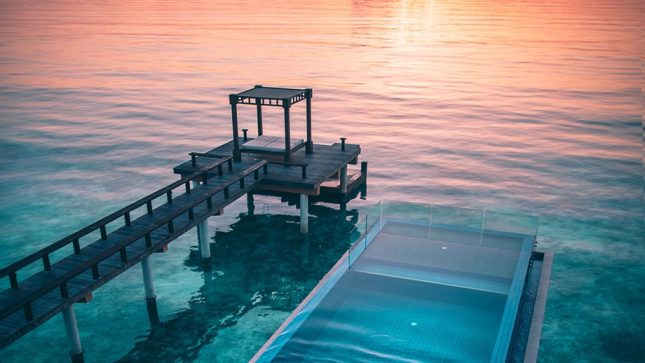 Deluxe InOcean Pool Villa