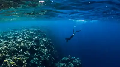 Life under water!
