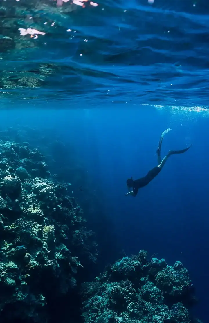 Life under water!