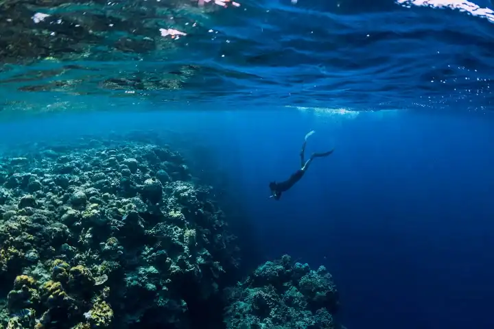 Life under water!