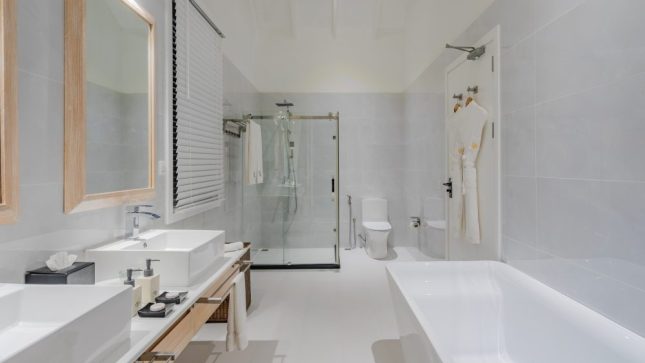 Dhigufaru Island Resort - Pool Water Villa/ Water Villa