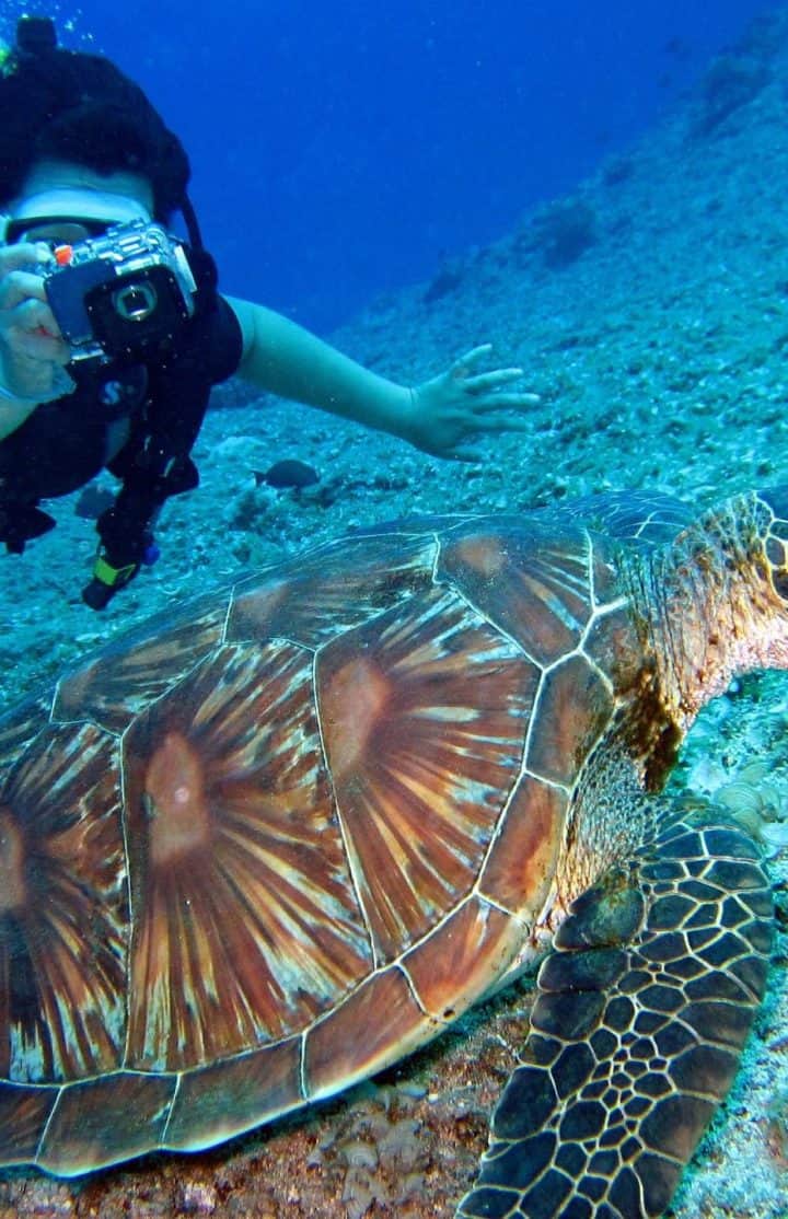 Nakai Dhiggiri Resort - Diving