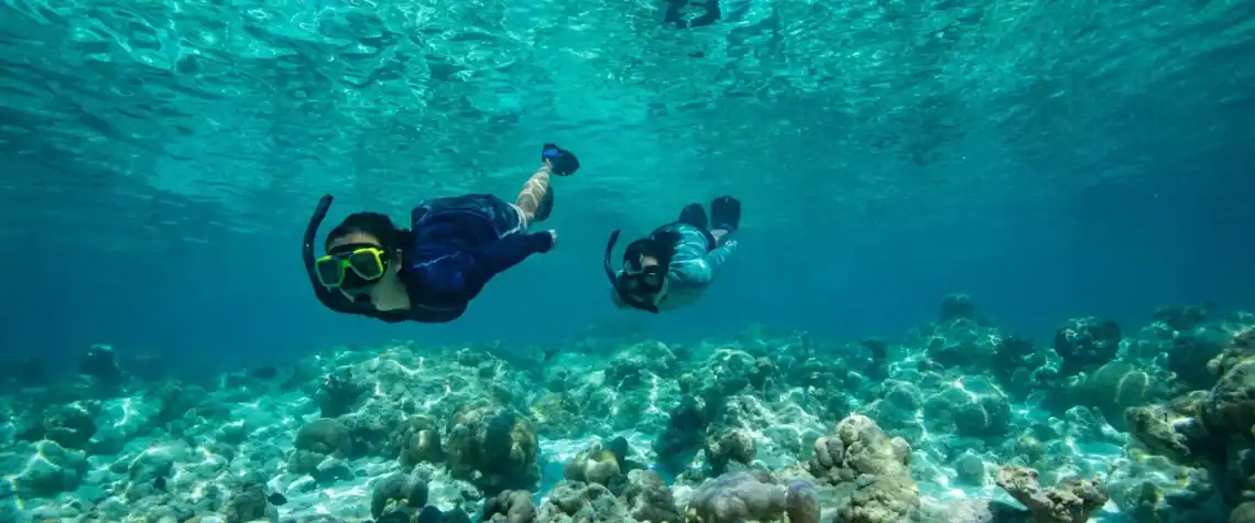 Explore the House Reef