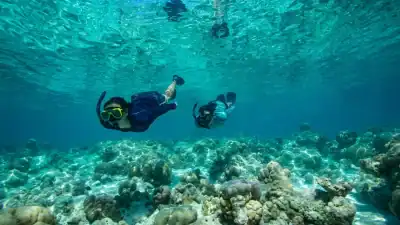 Explore the House Reef