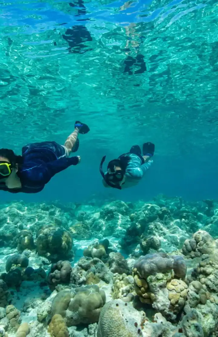 Explore the House Reef