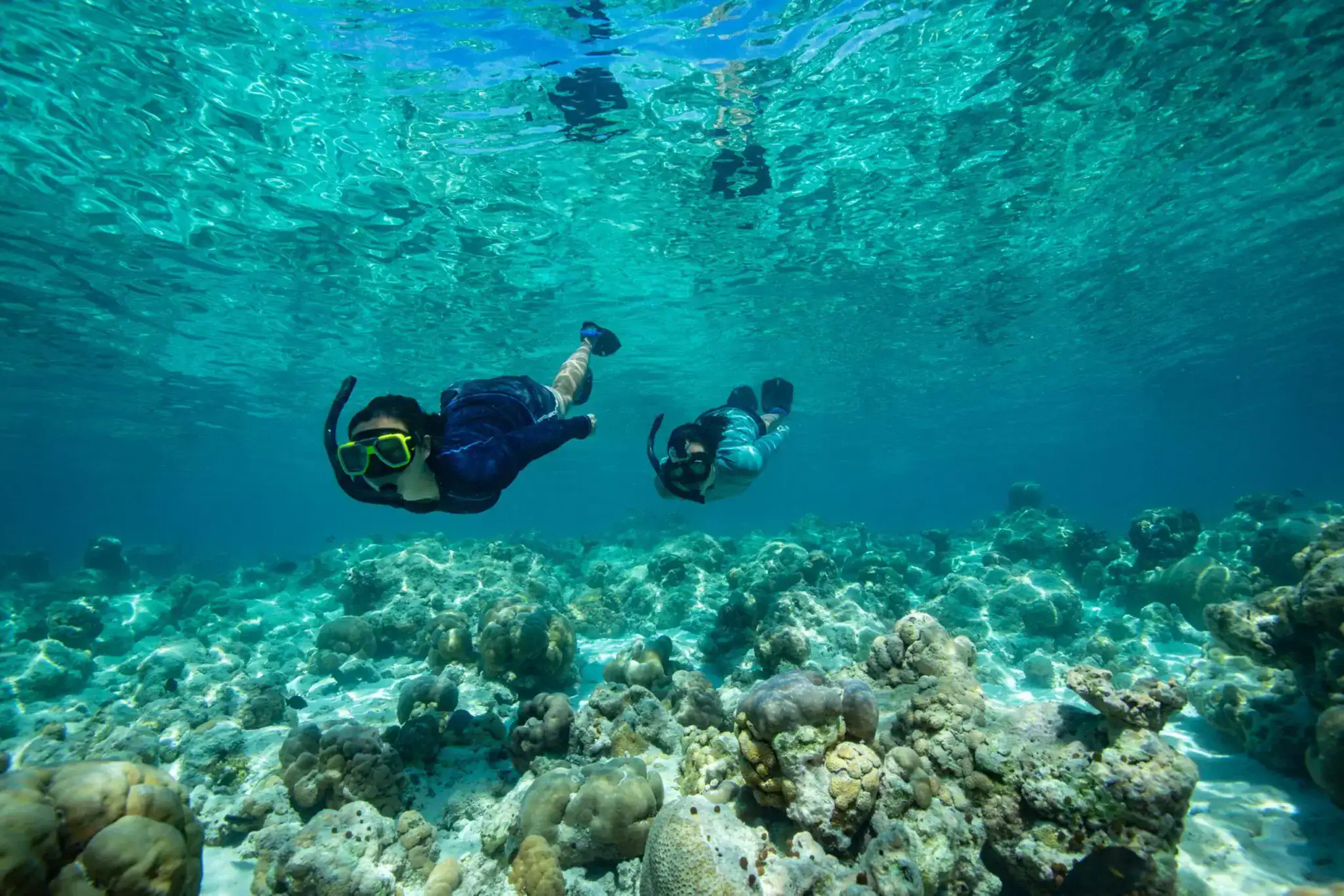 Explore the House Reef