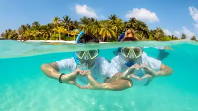 House Reef Activities