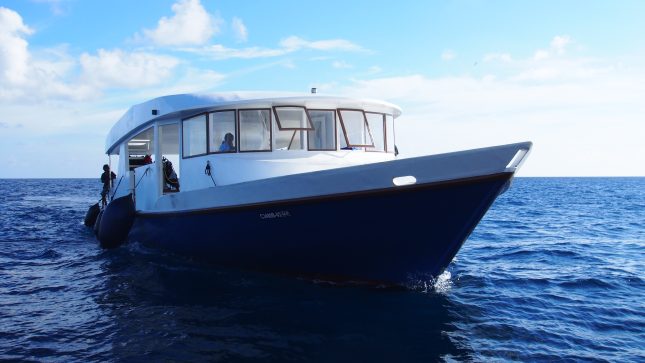 M/V BLUE - Dhoni diving boat