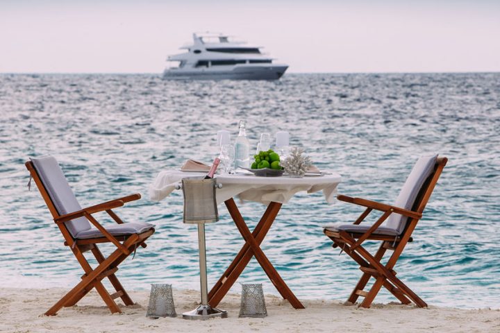 Alice - Romantic dinner