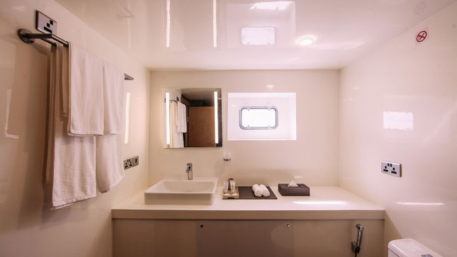 Alice - Fruitfulness