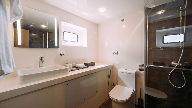 Alice - Fruitfulness