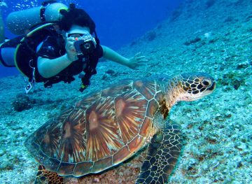 Diving