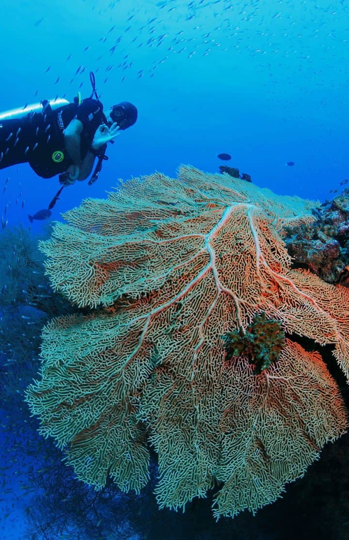 Scuba Diving