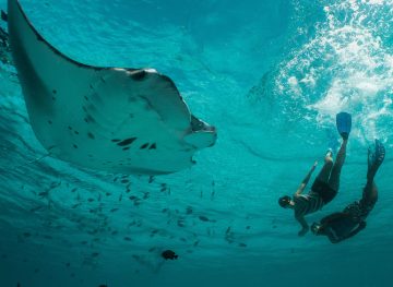 Snorkelling