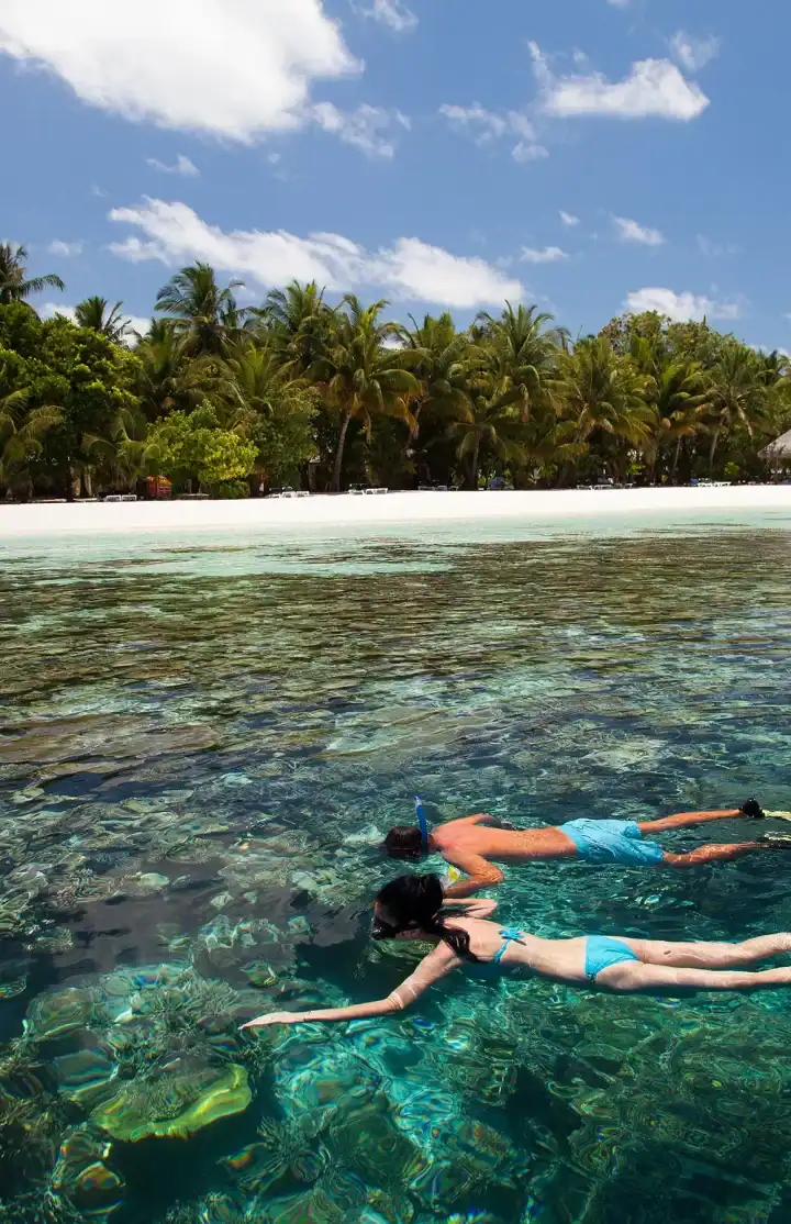 House Reef Diving