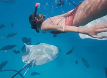 Adventure Snorkelling