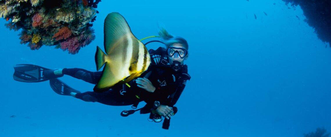 Diving