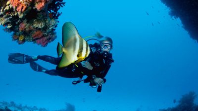 Diving