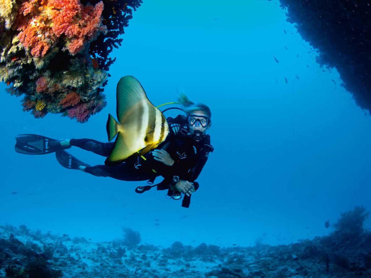 Diving