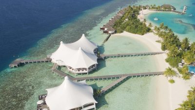 Safari Island