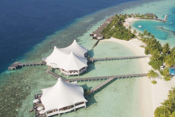 Safari Island