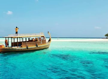 Island Excursion