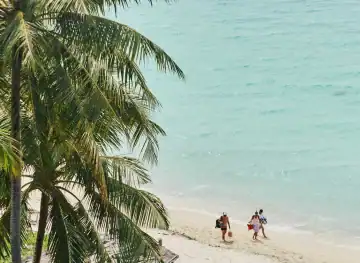 Beach